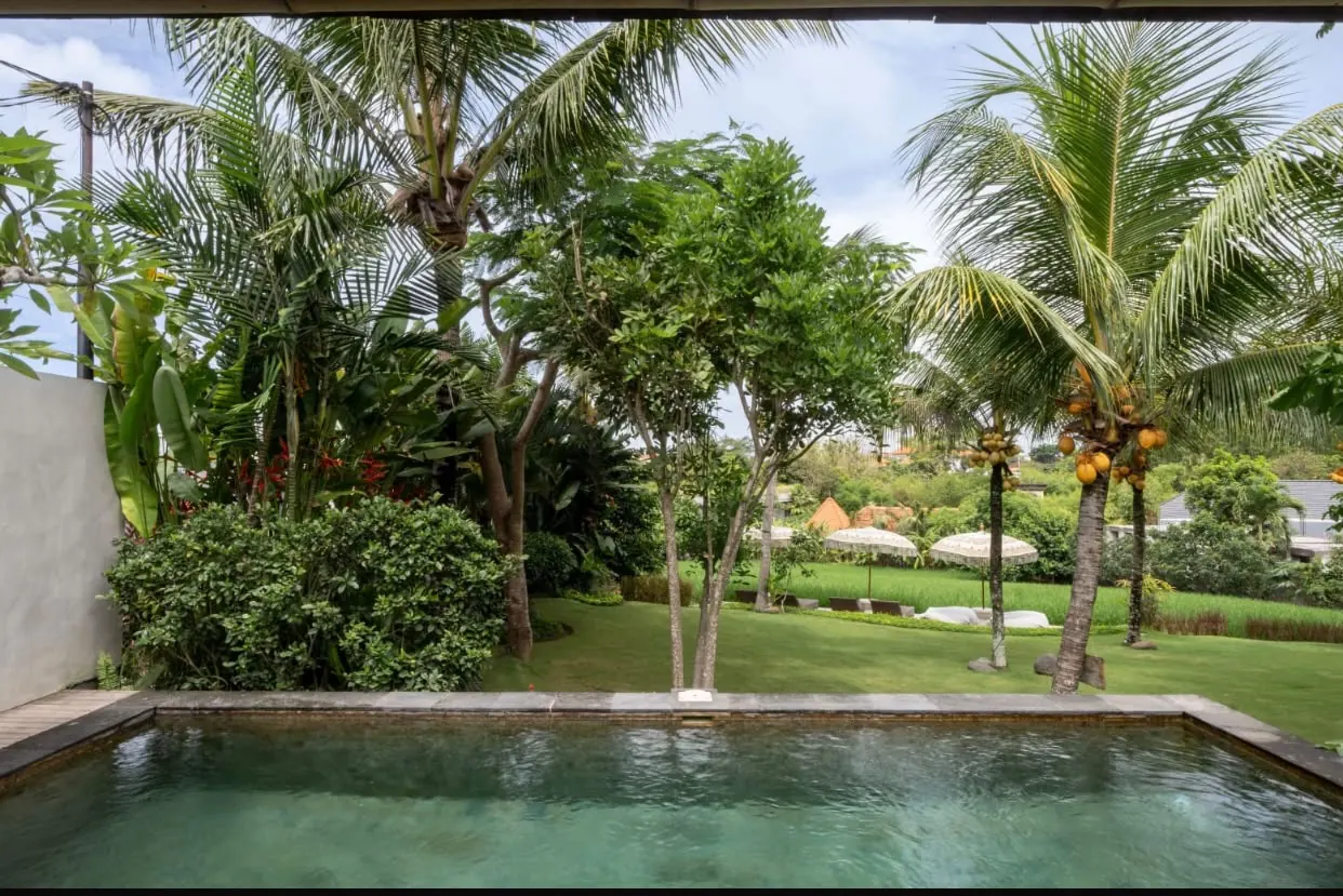 Private pool and garden with coconut palms
