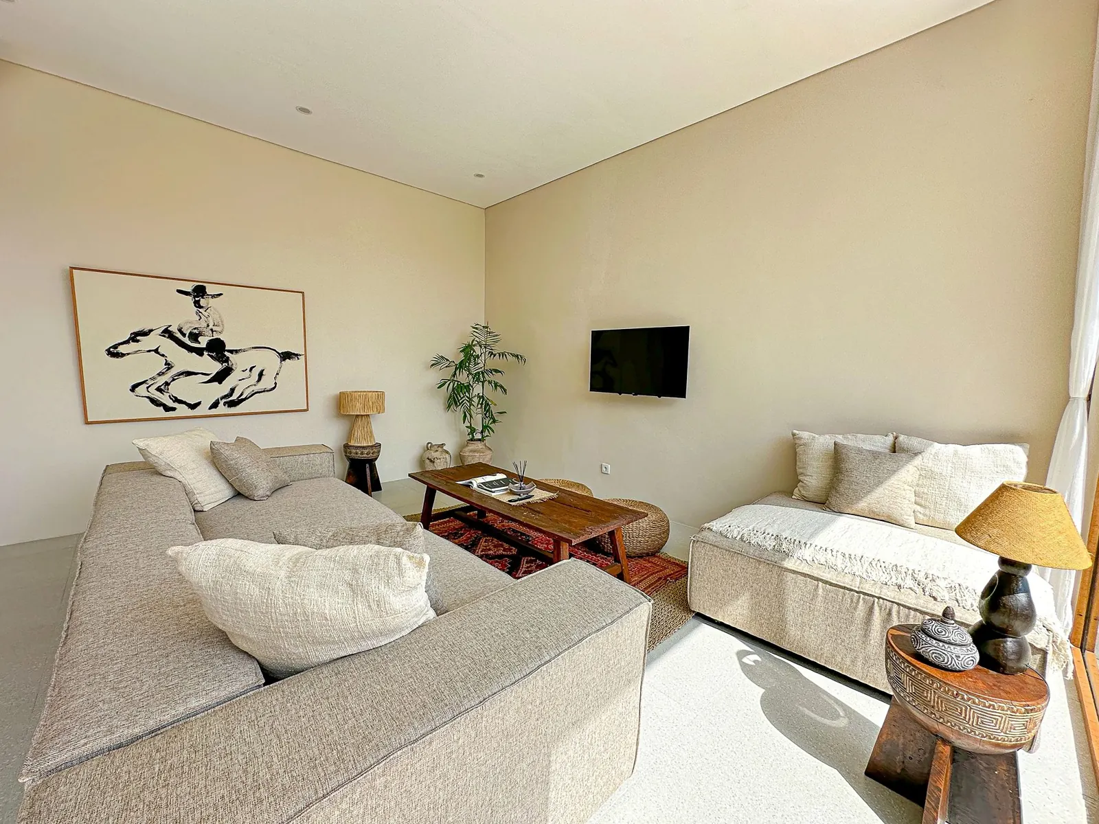 Living room with sofas and TV