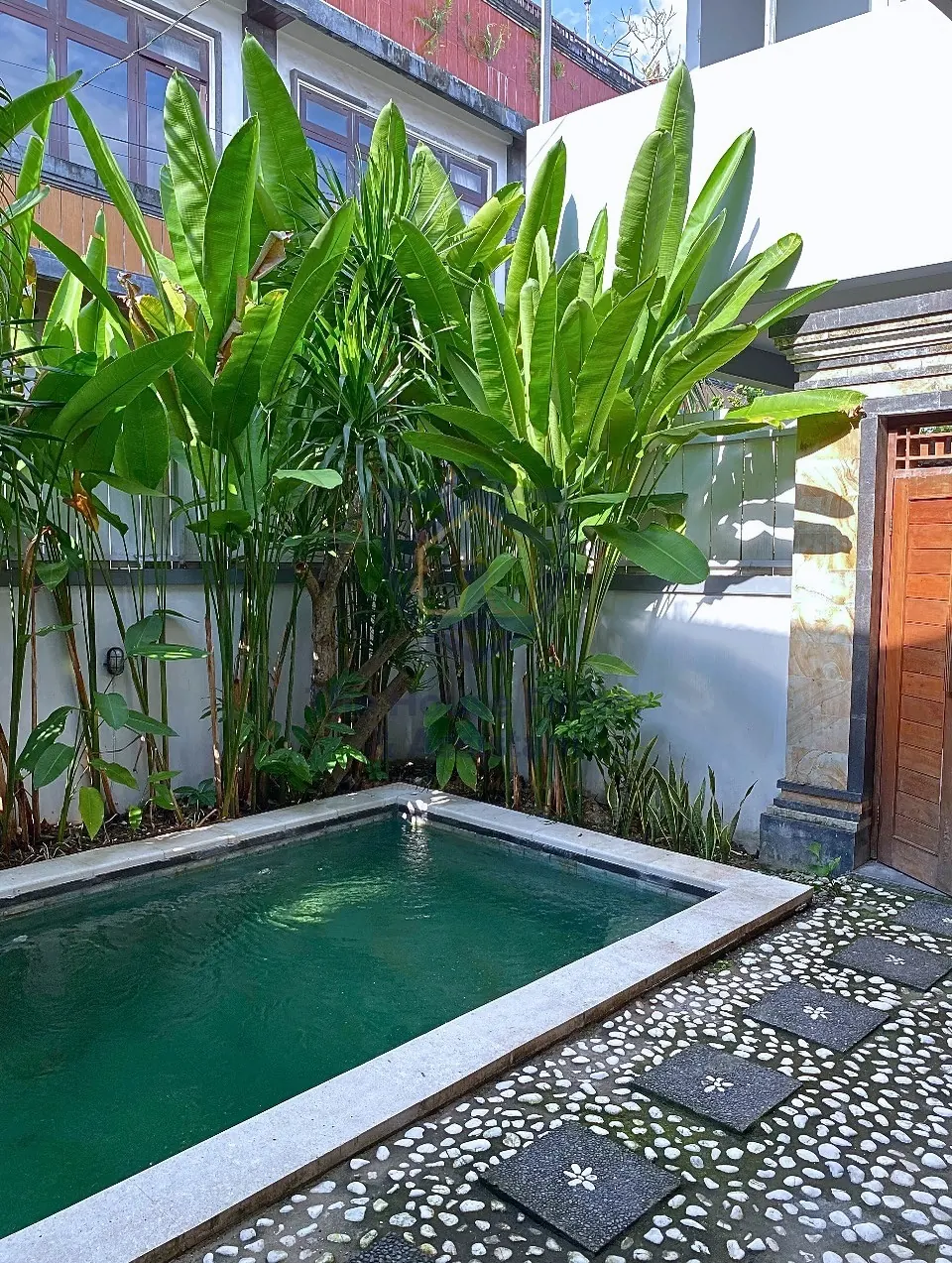 Private plunge pool with tropical garden and stepping-stone path – 3 bedroom villa for rent in Munggu near Seseh